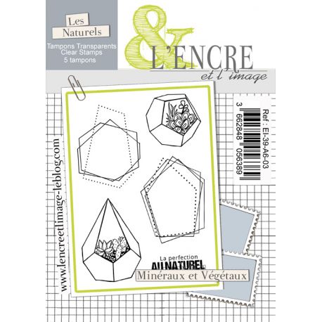 Clear Stamp - Succulents - L'Encre et l'Image