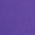 Cardstock violet myrtille 12X12