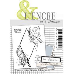 Tampon clear - Menthe Sauvage - L'Encre et l'Image